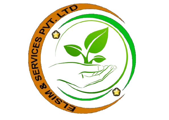 logo-main